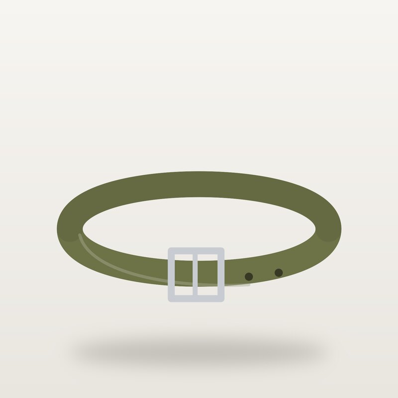 Wool Leather Belt, Olive