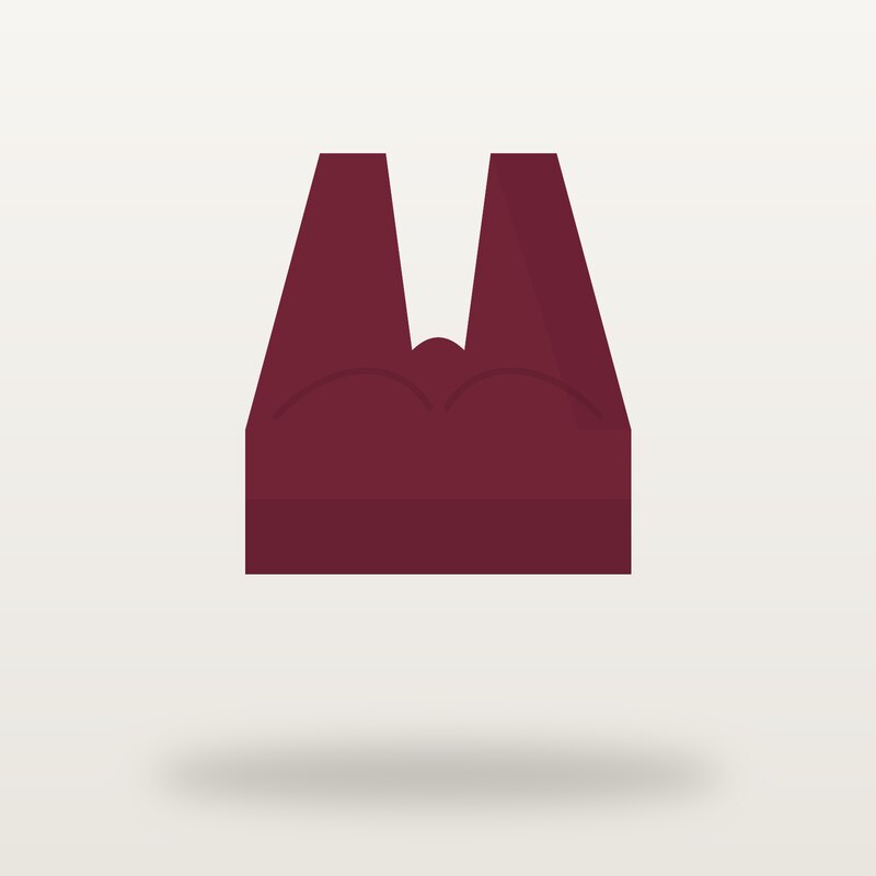 Pro Sports Bra, Burgundy