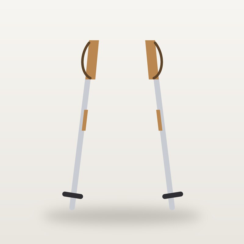 Trail Trekking Poles, Camel