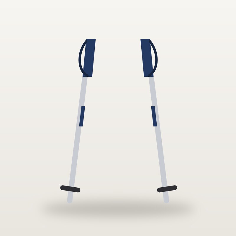Windproof Trekking Poles, Navy